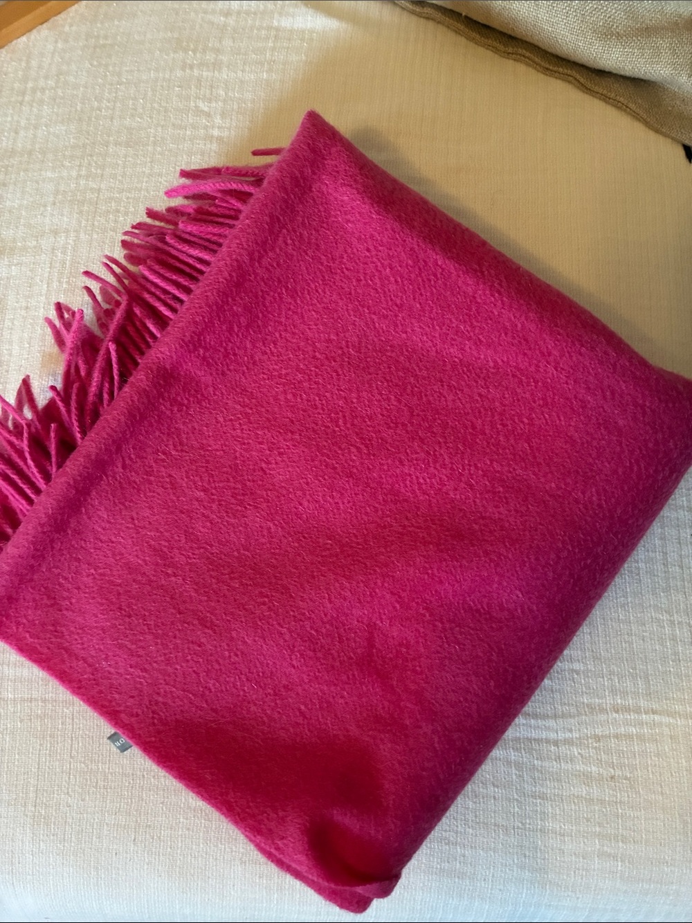 Ann Taylor 100% Cashmere Shawl Scarf